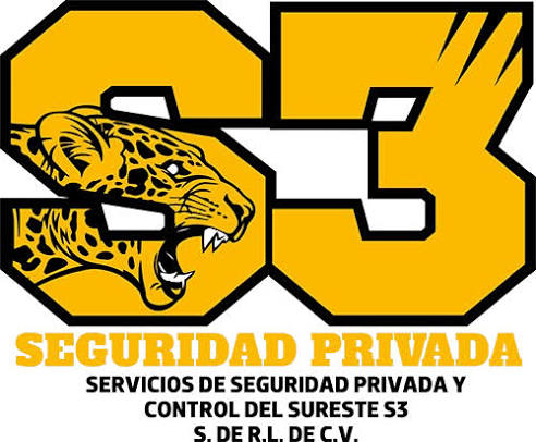 S3 Seguridad privada